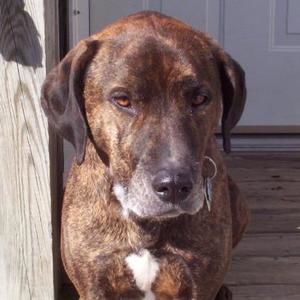 Meet your Posher, Janet